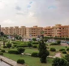 جاردينيا الشمس